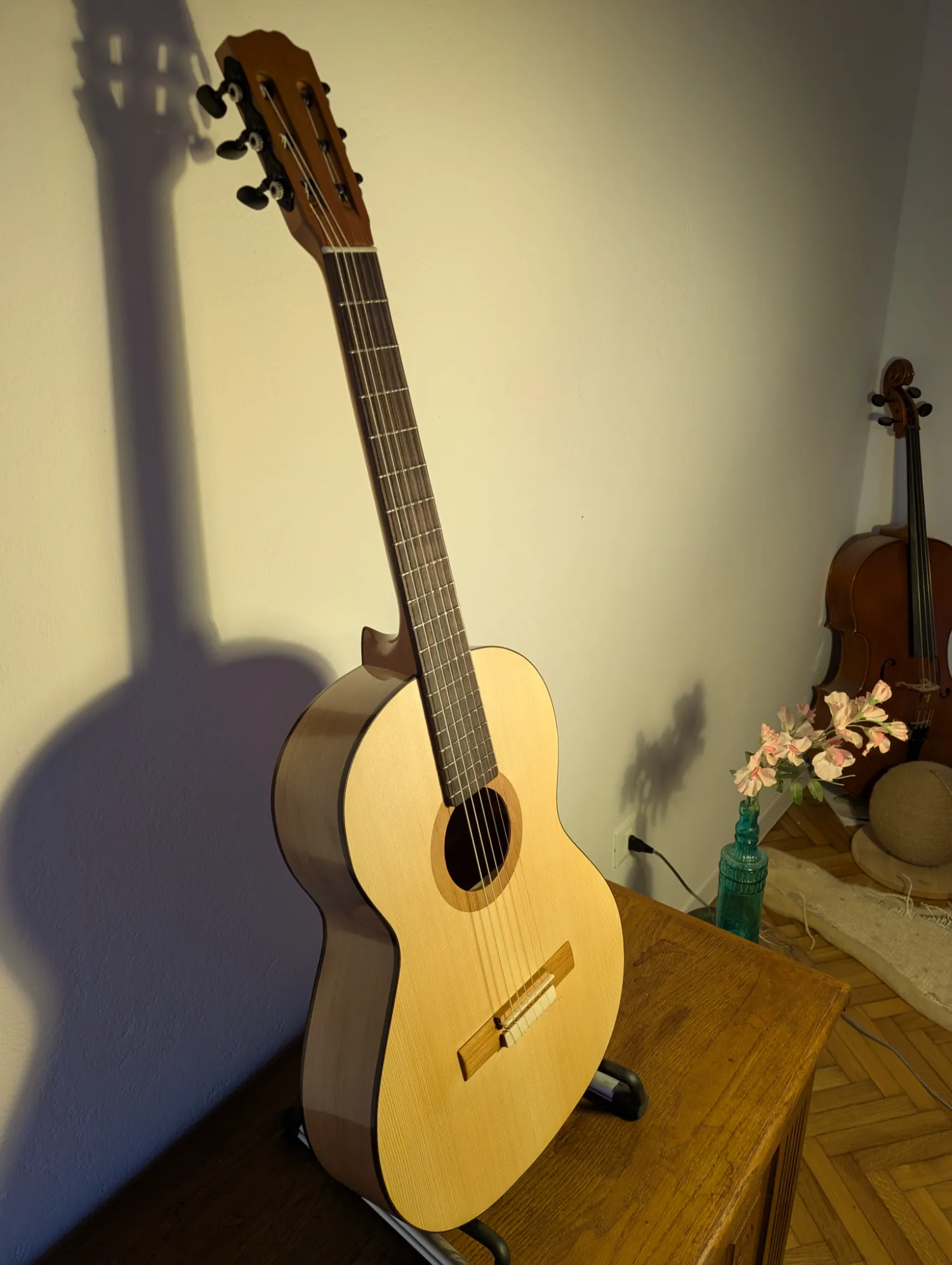 Asterion guitar Mediterranean Cypress sides profile