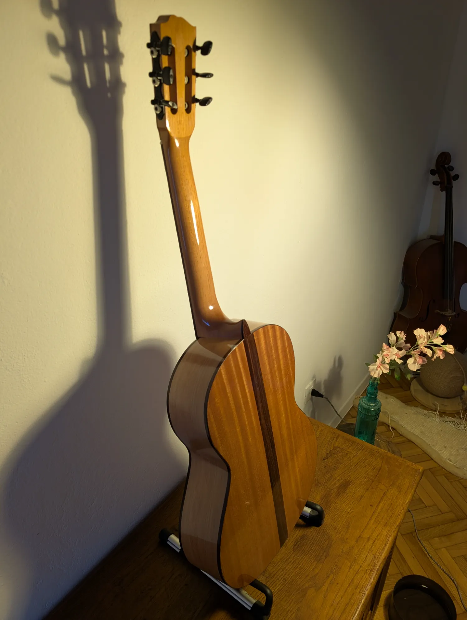 Asterion guitar Indian Rosewood fingerboard and nickel silver frets