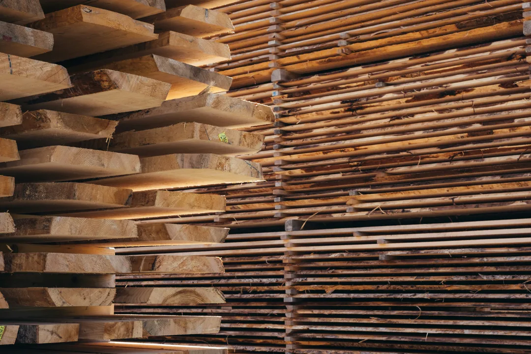 Rough-sawn boards of resonance timber stacked with spacers in a sawmill drying shed, warm daylight raking across the cut ends