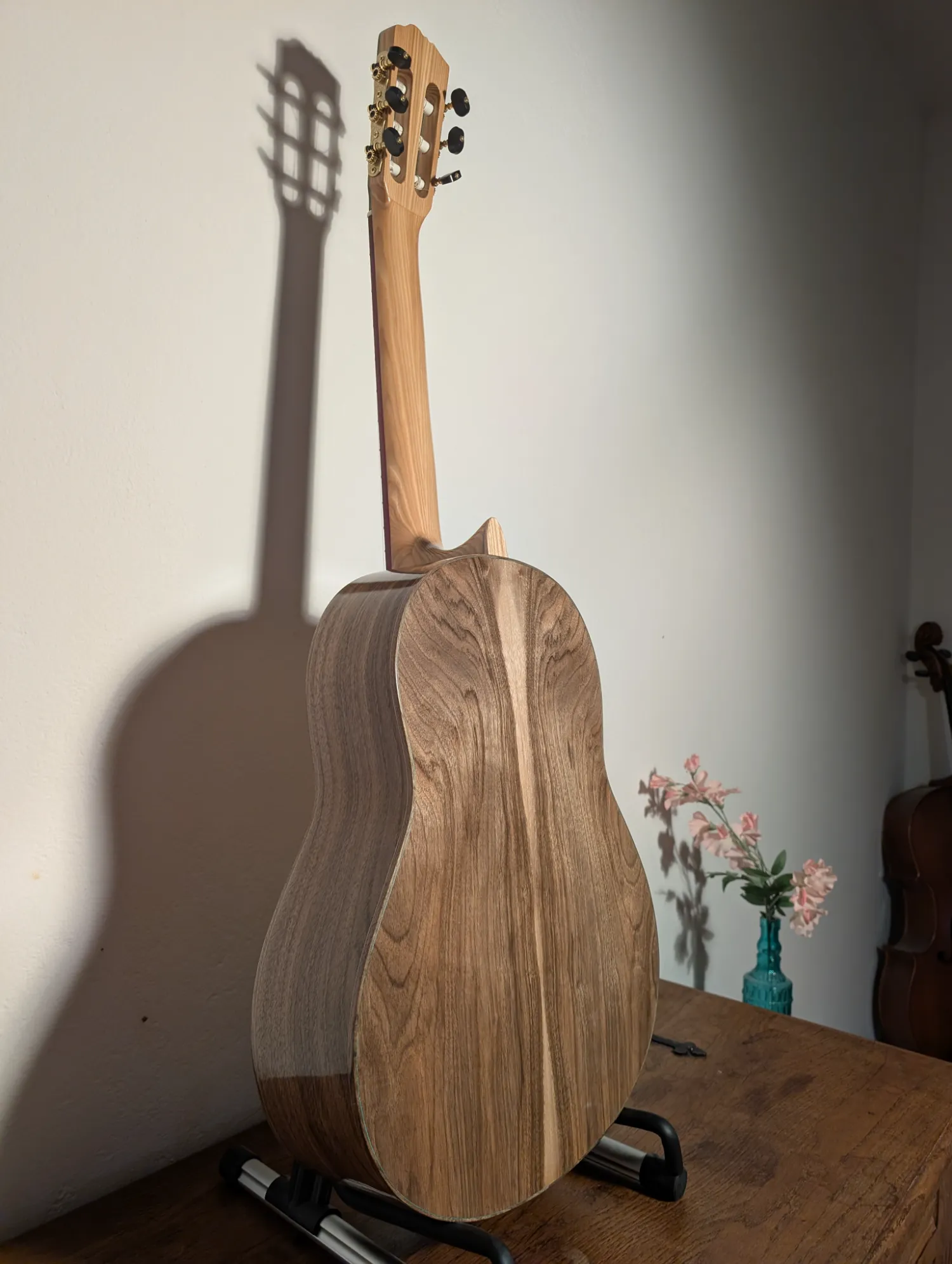 Pandora classical guitar headstock and tuning machines