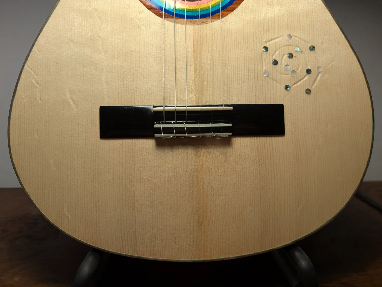 Pandora guitar Ziricote fingerboard detail
