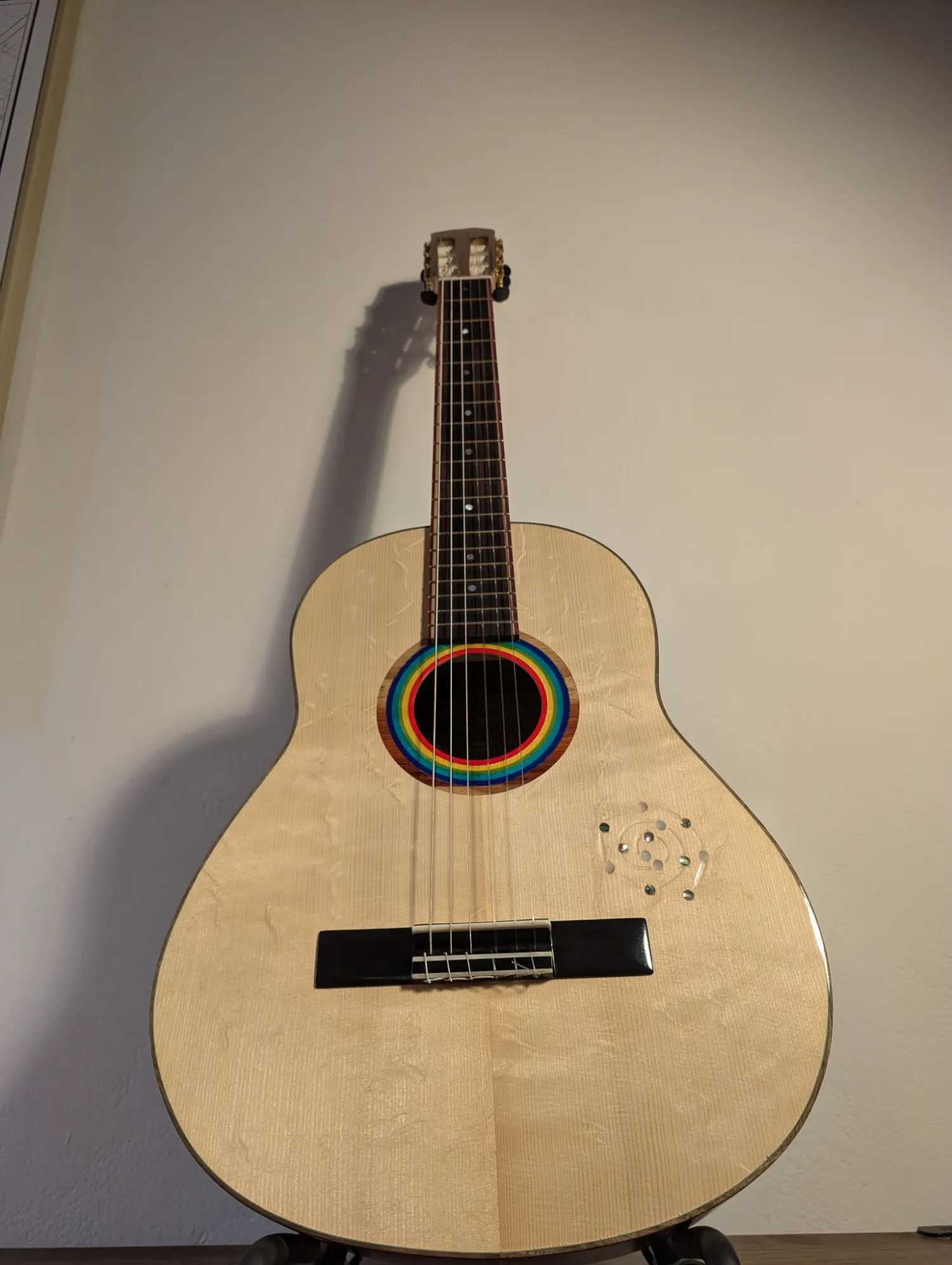 Pandora concert guitar Italian walnut back full view