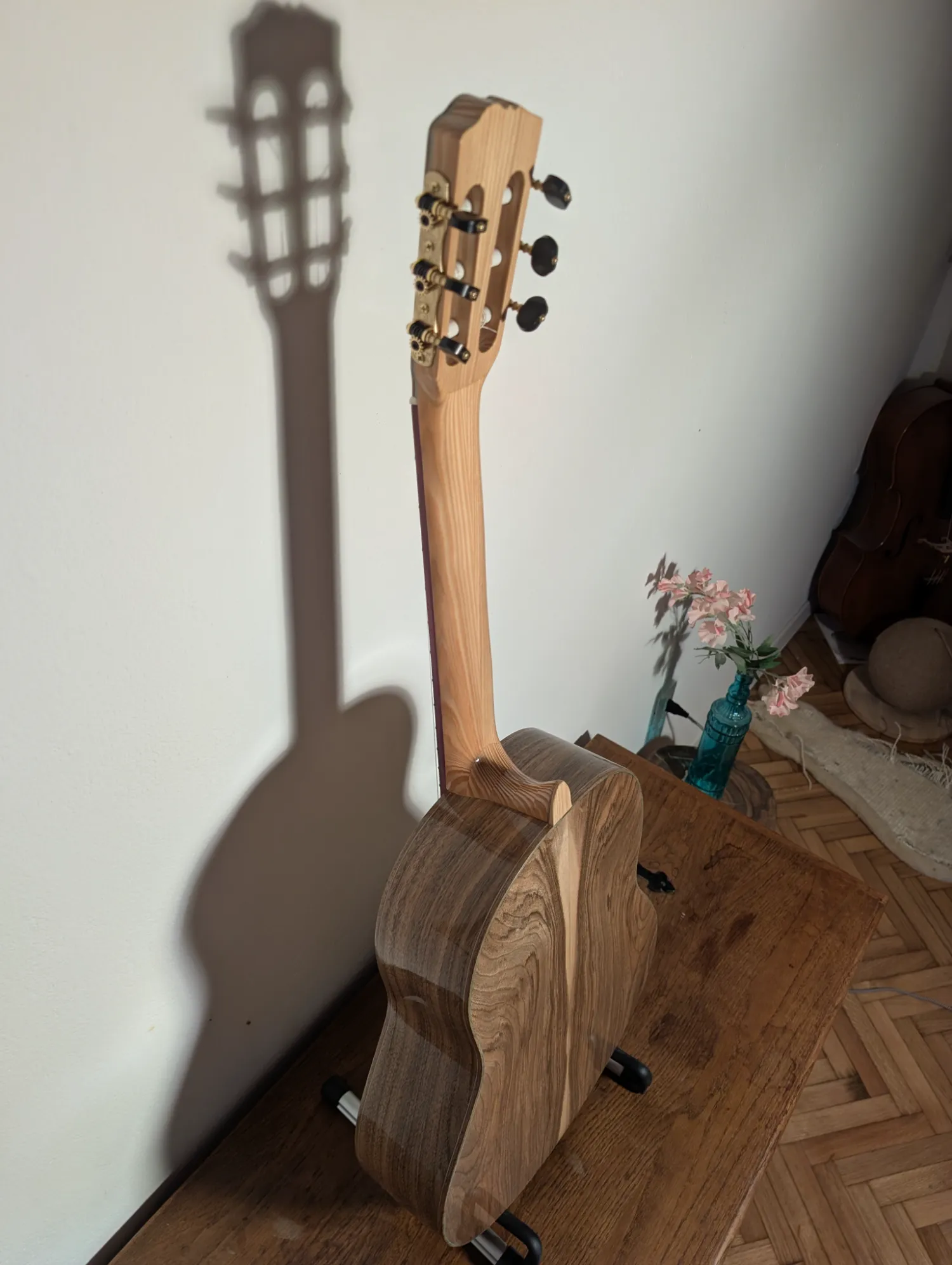 Pandora classical guitar side and front angle