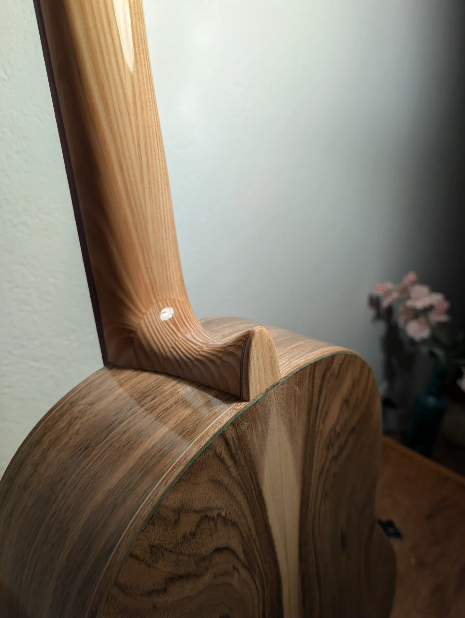 Pandora concert guitar French polish shellac finish detail