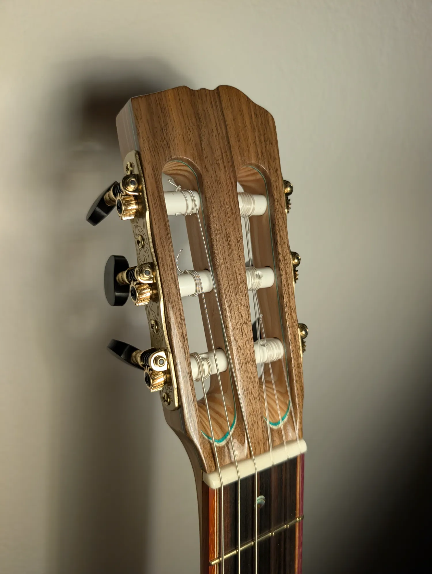 Pandora classical guitar Gotoh tuners detail