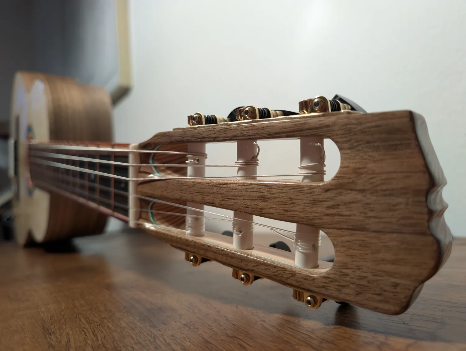 Pandora classical guitar back and side detail