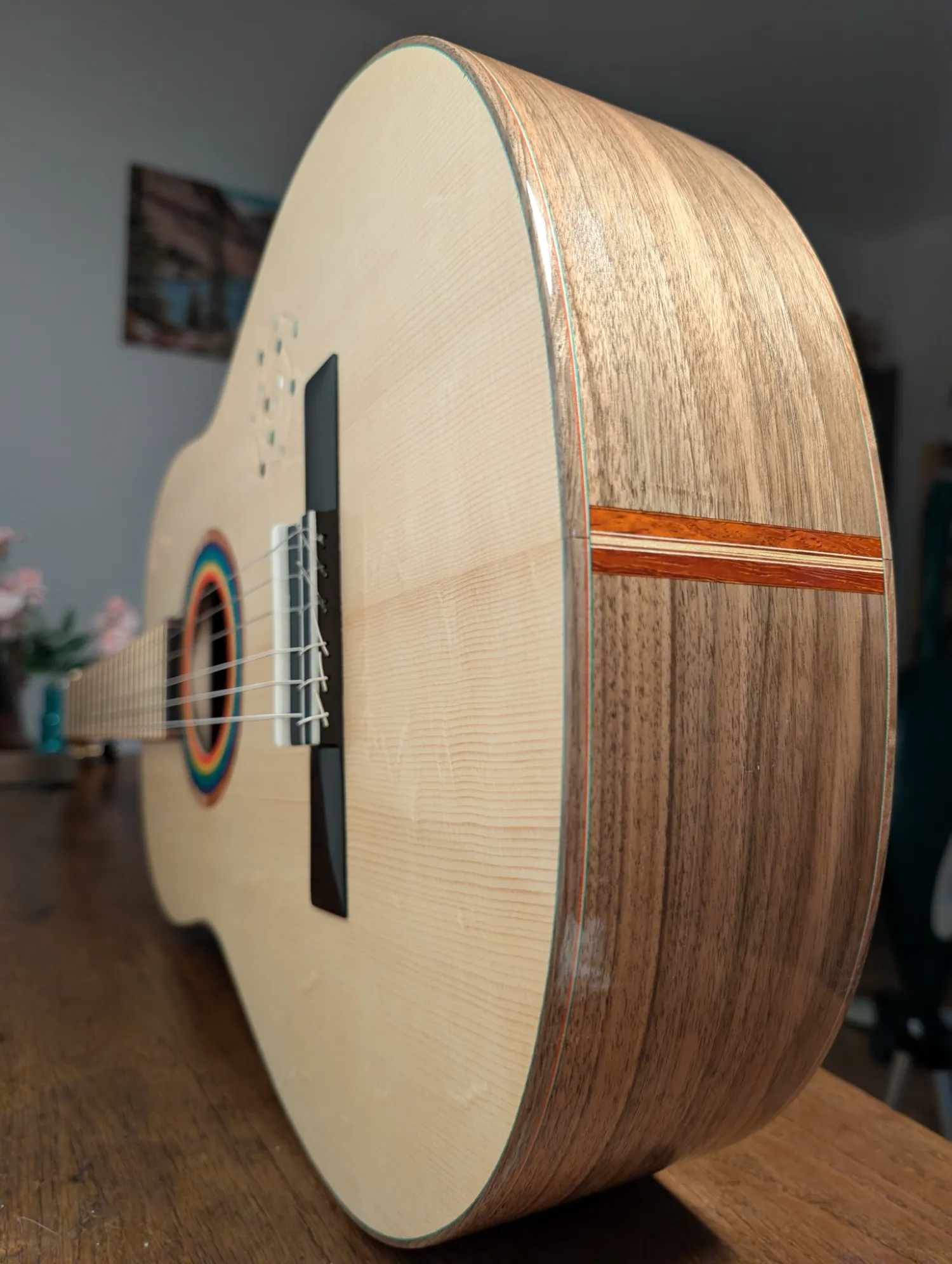 Pandora classical guitar body curves detail