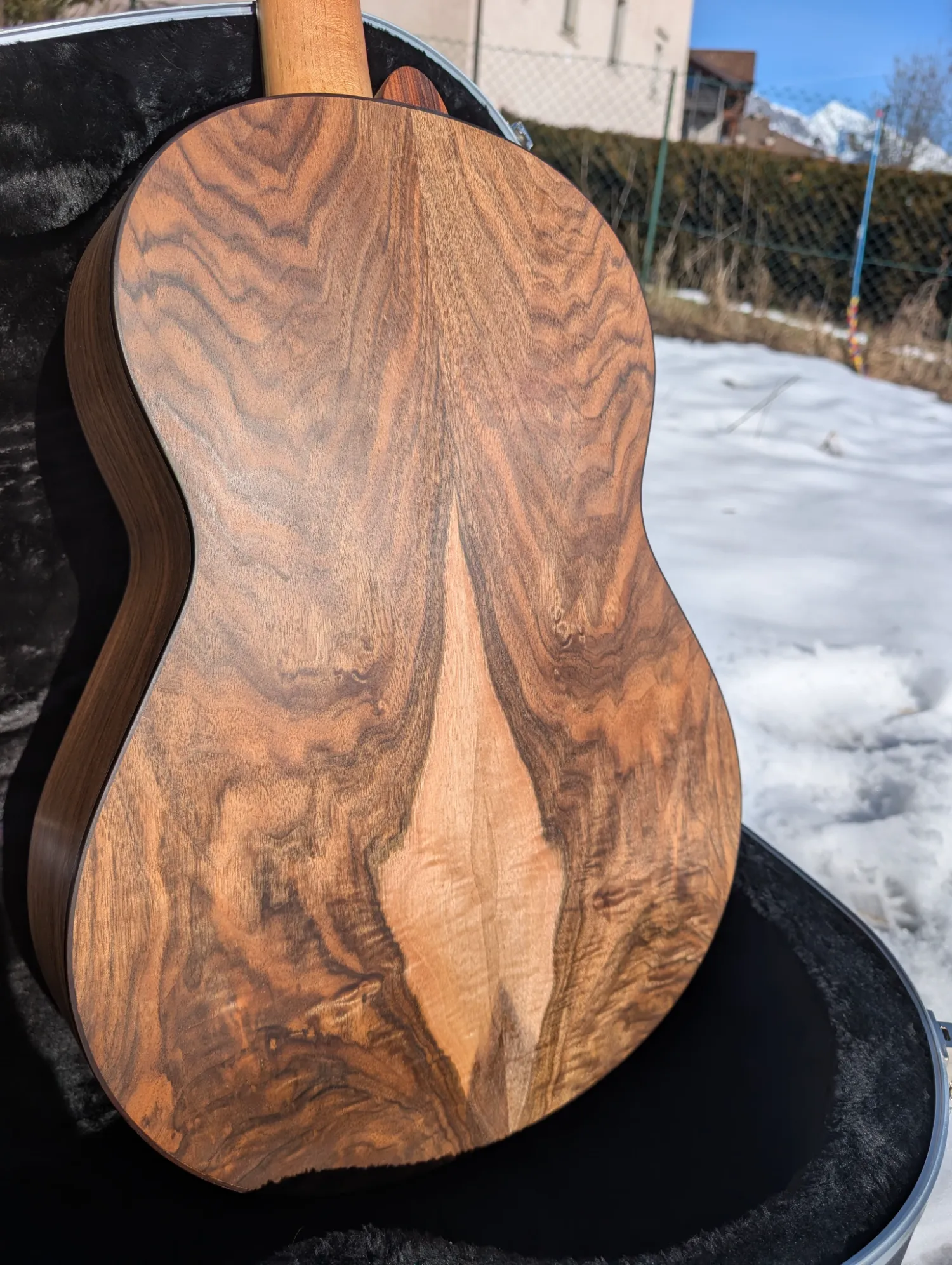 La Trentina classical guitar view 6