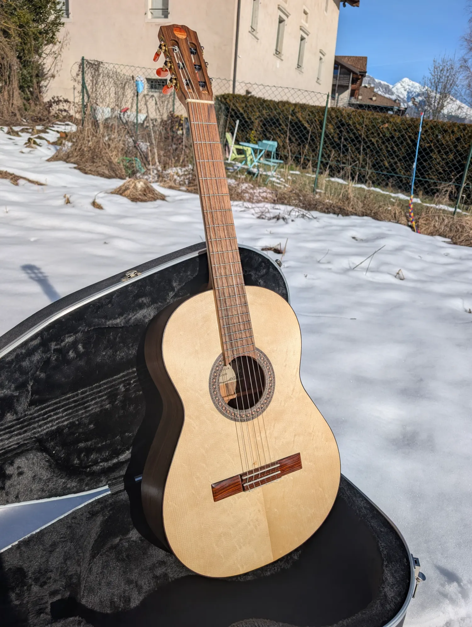 La Trentina classical guitar view 9