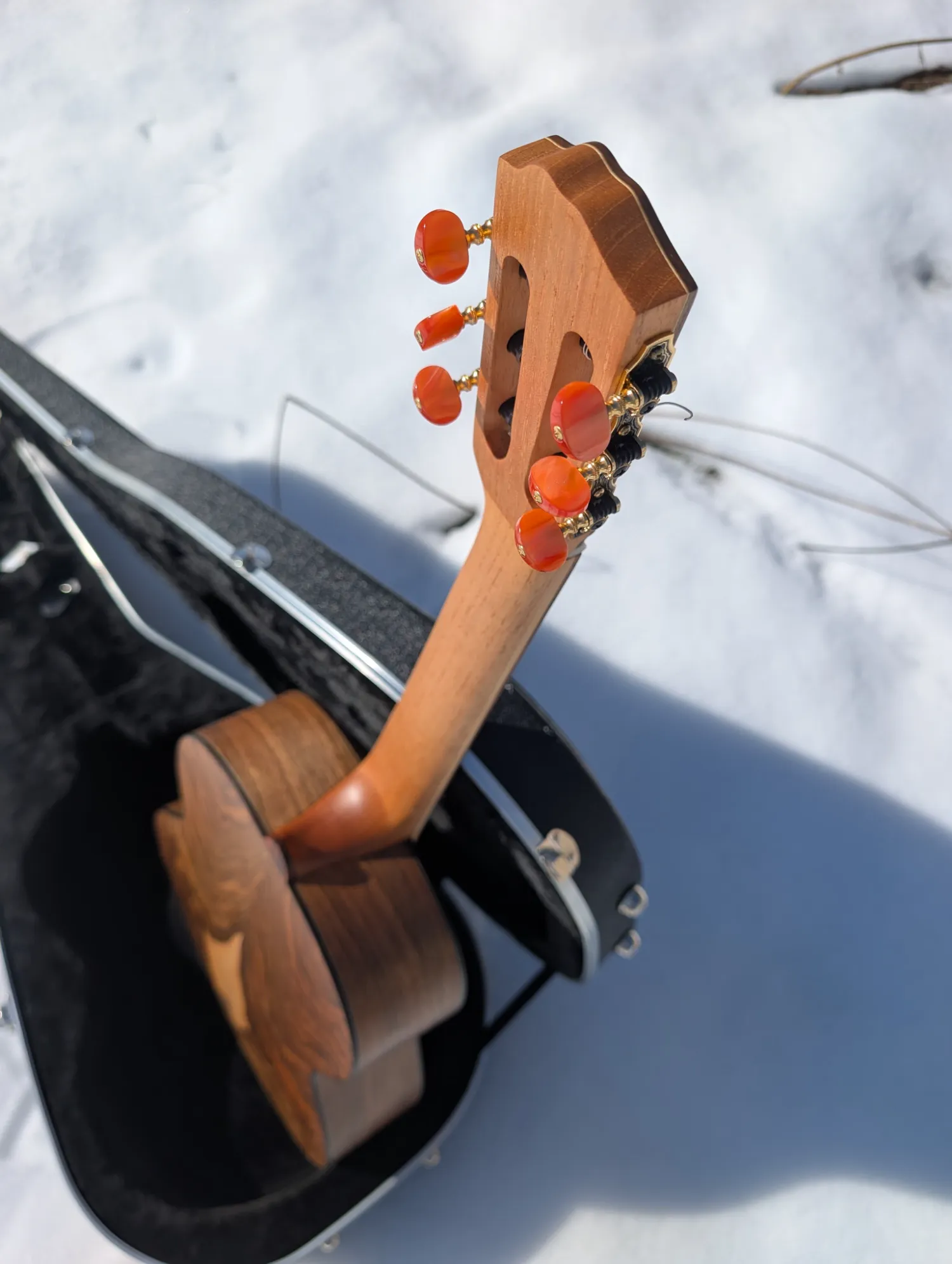 La Trentina classical guitar view 17