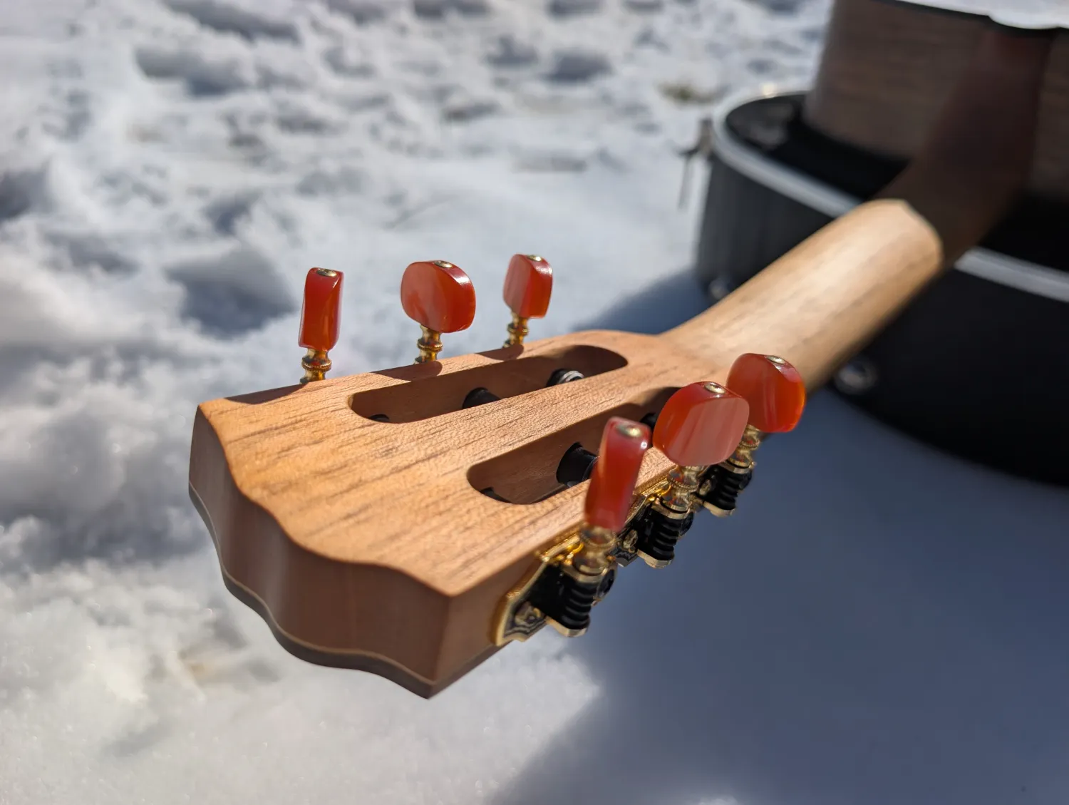 La Trentina classical guitar view 18