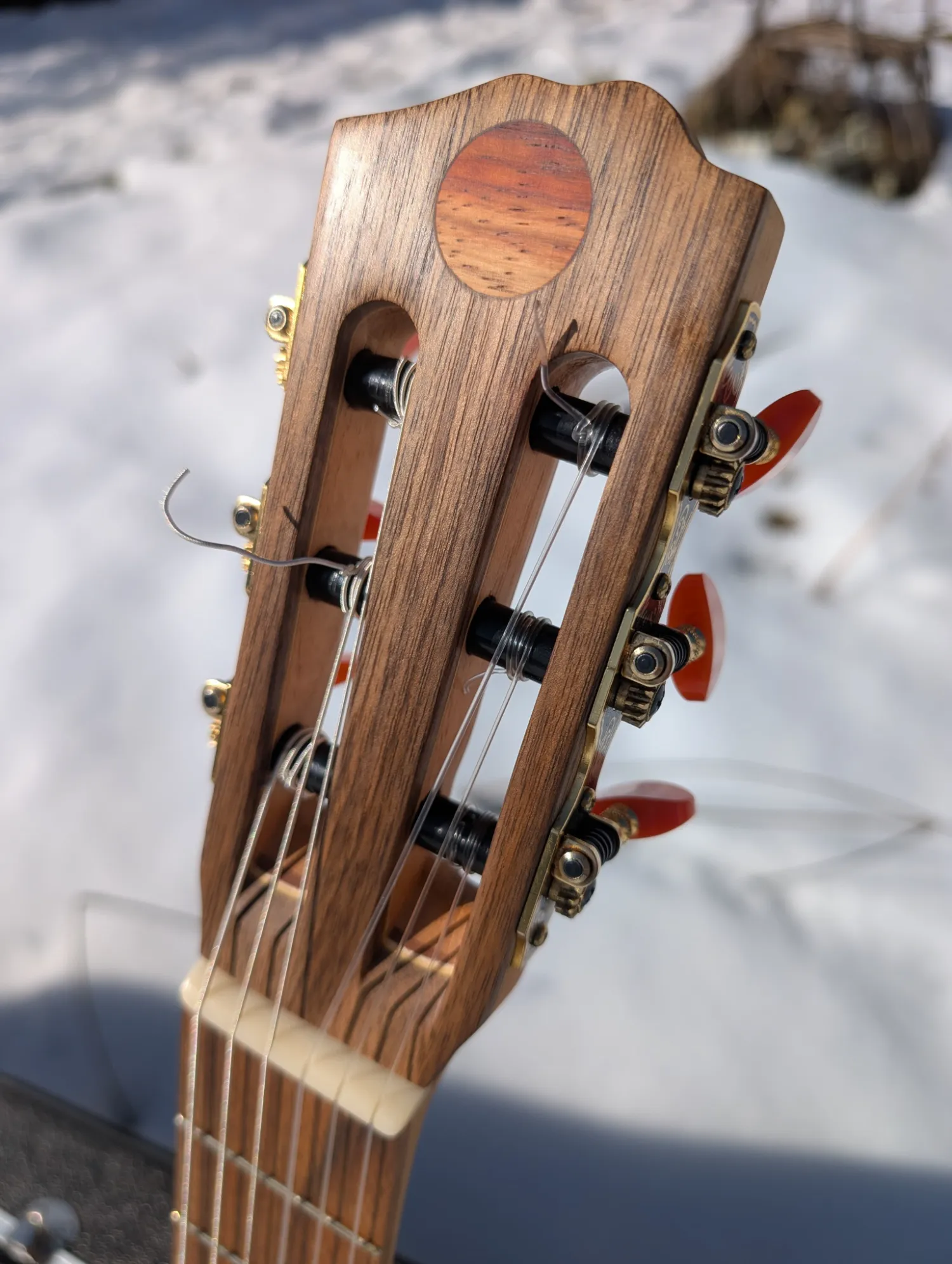 La Trentina classical guitar view 19