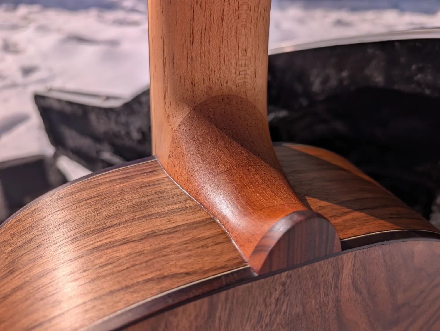 La Trentina classical guitar view 21