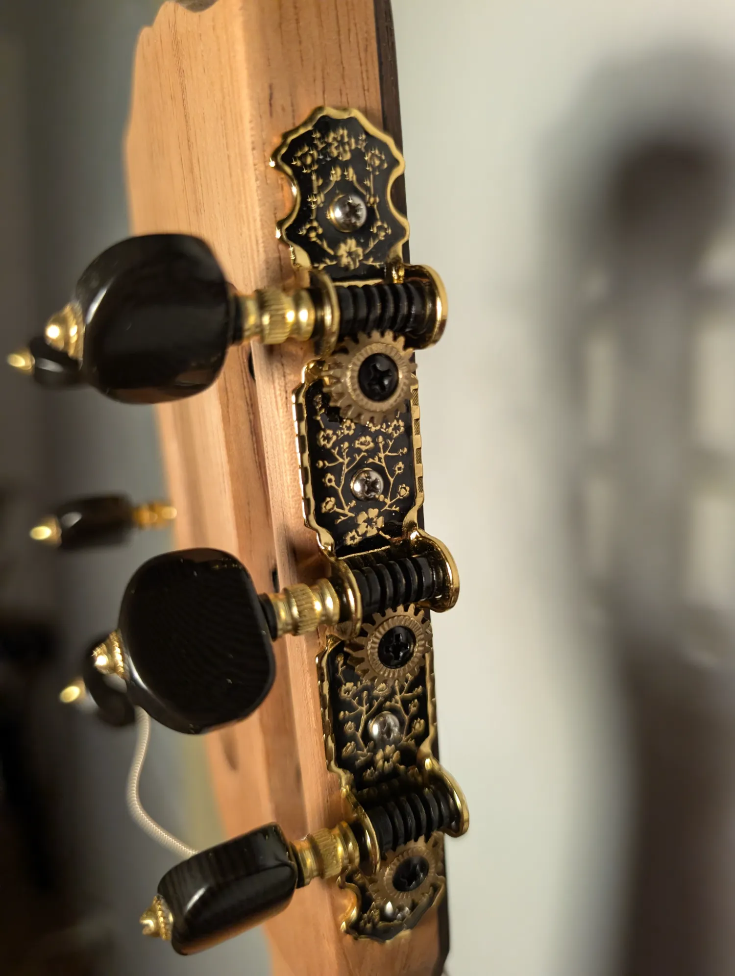 Ulysses handmade classical guitar back view Indian Rosewood